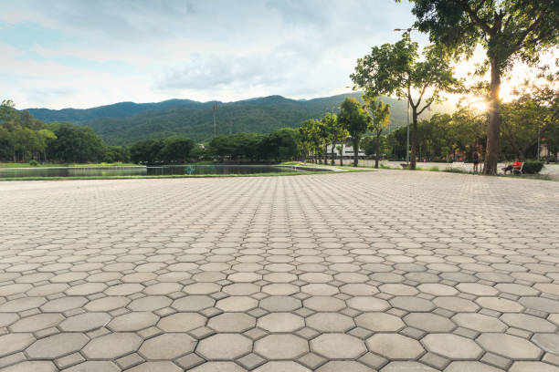 Residential Paver Driveway in Colma, CA